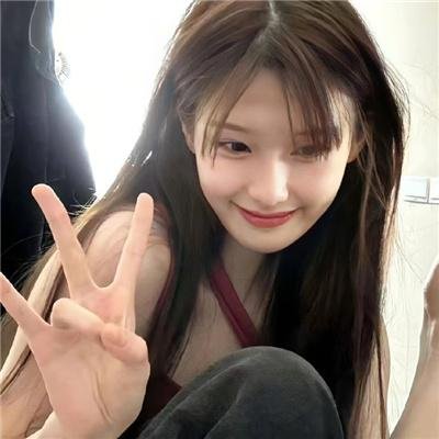征服北极的人